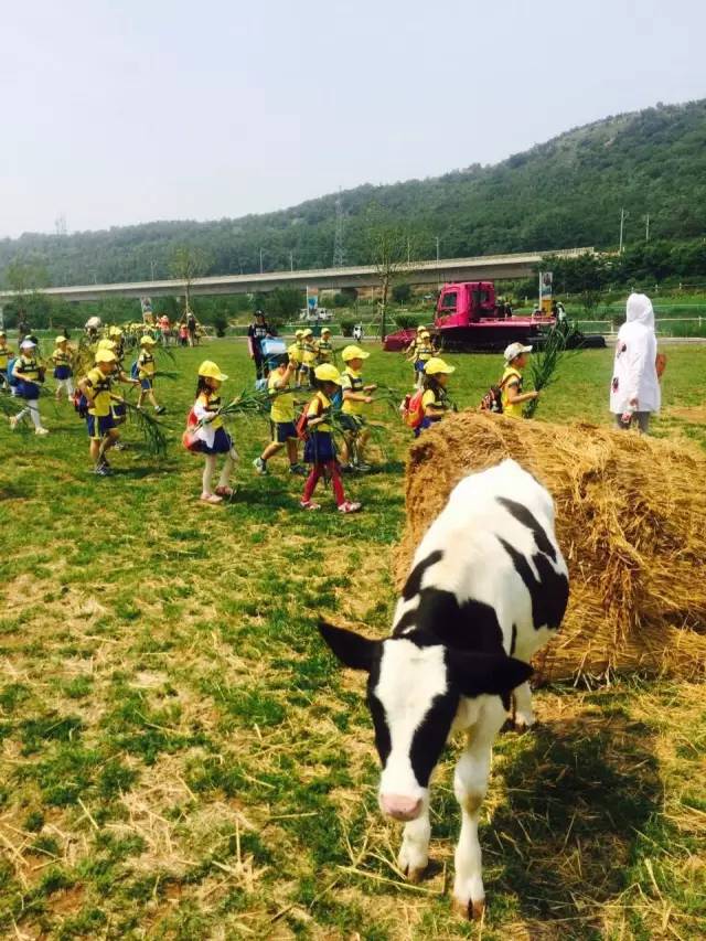 大连牧场旅游景点,大连铭湖牧场附近旅游