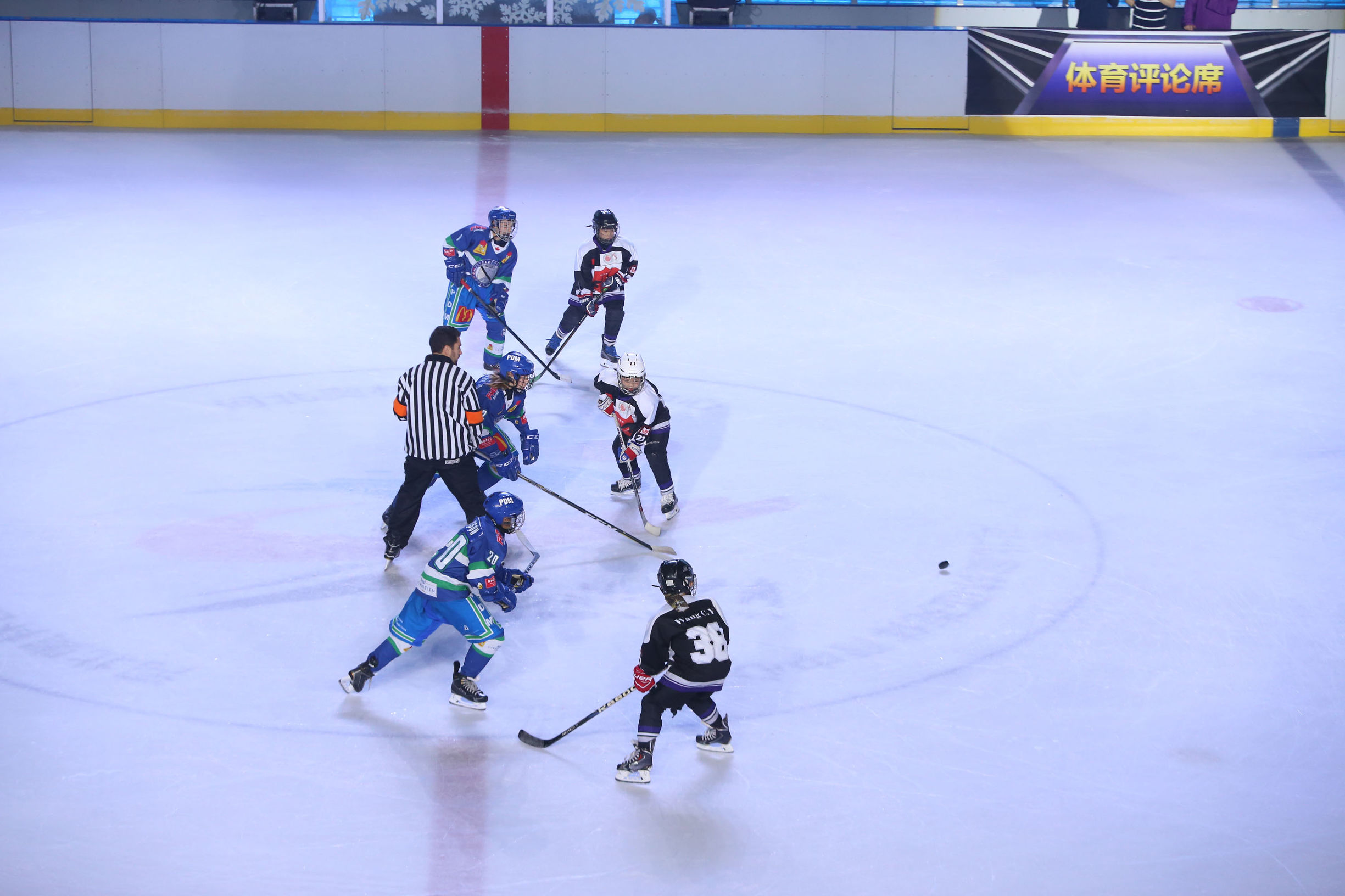 石家庄奥体中心场馆示意图,河北奥体中心有什么