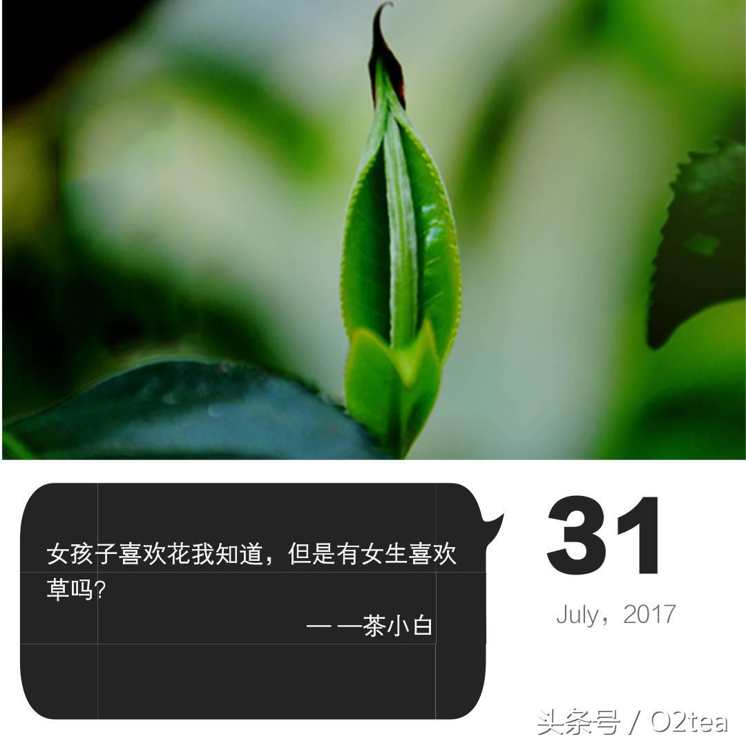 用茶水吃药后果,用茶水服药有什么副作用