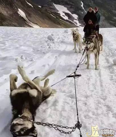 三观被刷新到无下限,三观逐渐被刷新