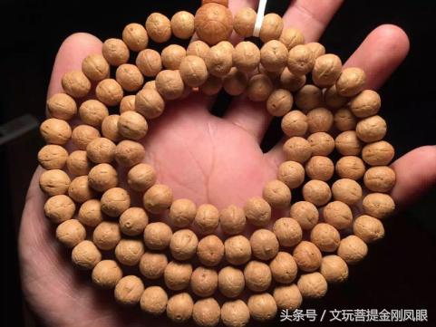 凤眼菩提和佛眼菩提区别,念青唐古拉介绍