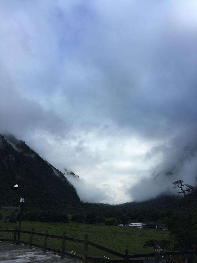 四姑娘山高山草甸,四姑娘山雪山草甸