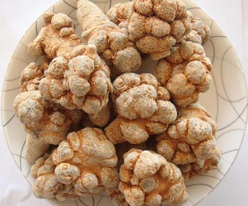 三七粉的作用与功效与吃法与禁忌,三七粉功效与作用及禁忌症是什么