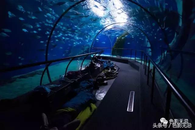 徕卡富士索尼,谈谈徕卡sl24-90