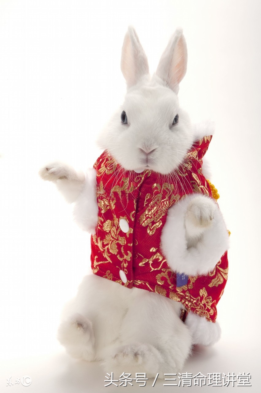 犯太岁的生肖用什么能化解呢,今年犯太岁哪几个生肖化解