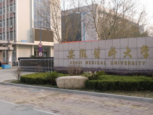 安徽省综合实力最强的医学高校，在安徽省高校综合排名拍不到前五，来见识一下安徽医科大学的实力吧