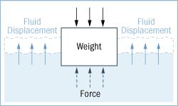 史上最神奇的38个定律,科学减肥的十条定律bbc