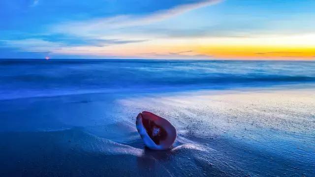 面朝大海春暖花开涠洲岛之旅,海景圣地涠洲岛