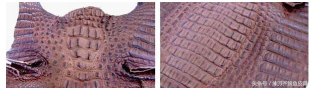 泰国鳄鱼皮具好用吗 (泰国的鳄鱼皮具)