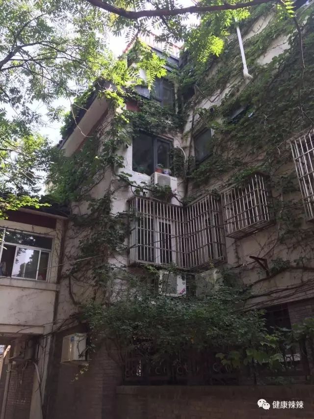 跟着辣妹逛胡同之二，带你看看20万的猫~菊儿胡同走起