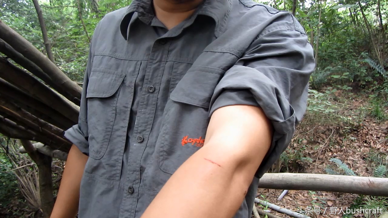 荒野求生徒手杀牛,荒野求生割生肉