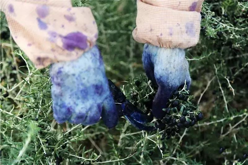 90后女生回到家乡创业,90后姑娘只身创业打拼