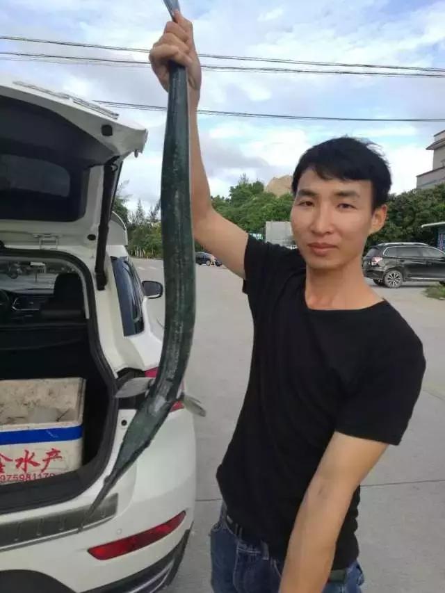 台山浪琴湾有藤壶吗,台山浪琴湾沙滩游泳