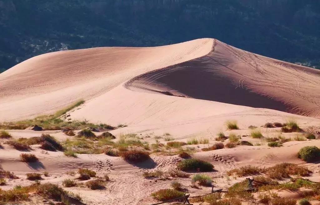 90后女生回到家乡创业,90后姑娘只身创业打拼