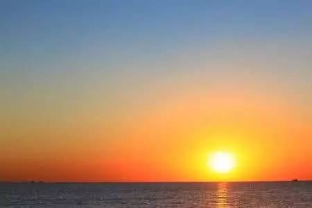 傅鼎生水平如何,傅鼎生教授