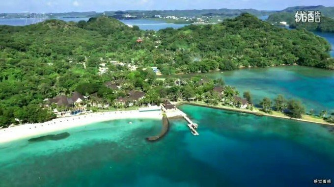 看鲨鱼，玩泥巴，看男人穿婚纱，带你看不一样的帕劳