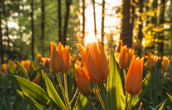 有个性的早安说说句句简短走心,早安语录励志点赞高的说说带图片