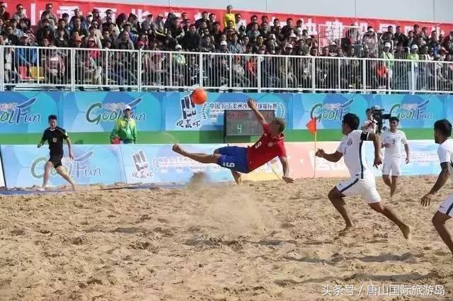 承包一整片海的浪漫,承包一片海域能干什么