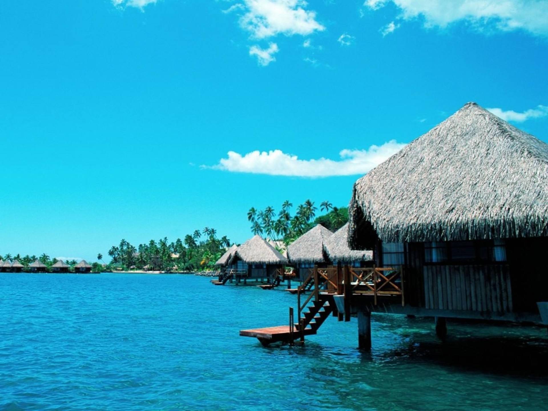 蜜月胜地是哪里,蜜月圣地视频