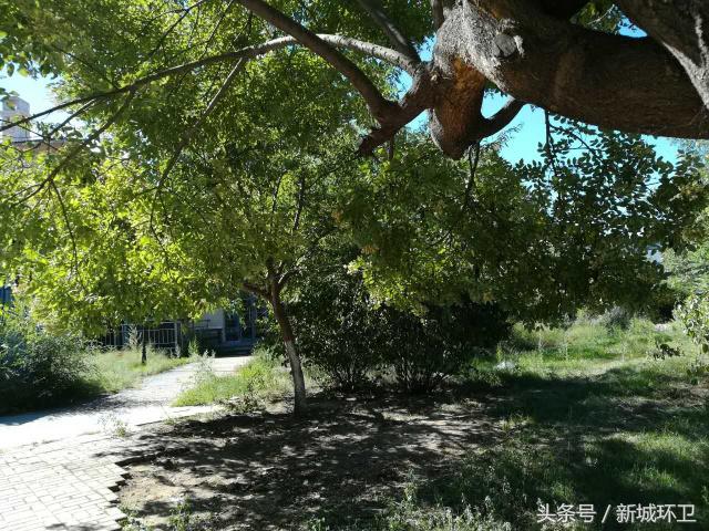 环境卫生最新整治,环境卫生整治限期整改通知书