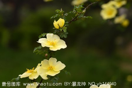 学摄影要懂p图吗,学摄影镜头选择