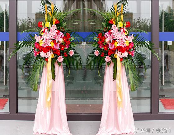 开业乔迁，吉利有寓意的盆栽有哪些？