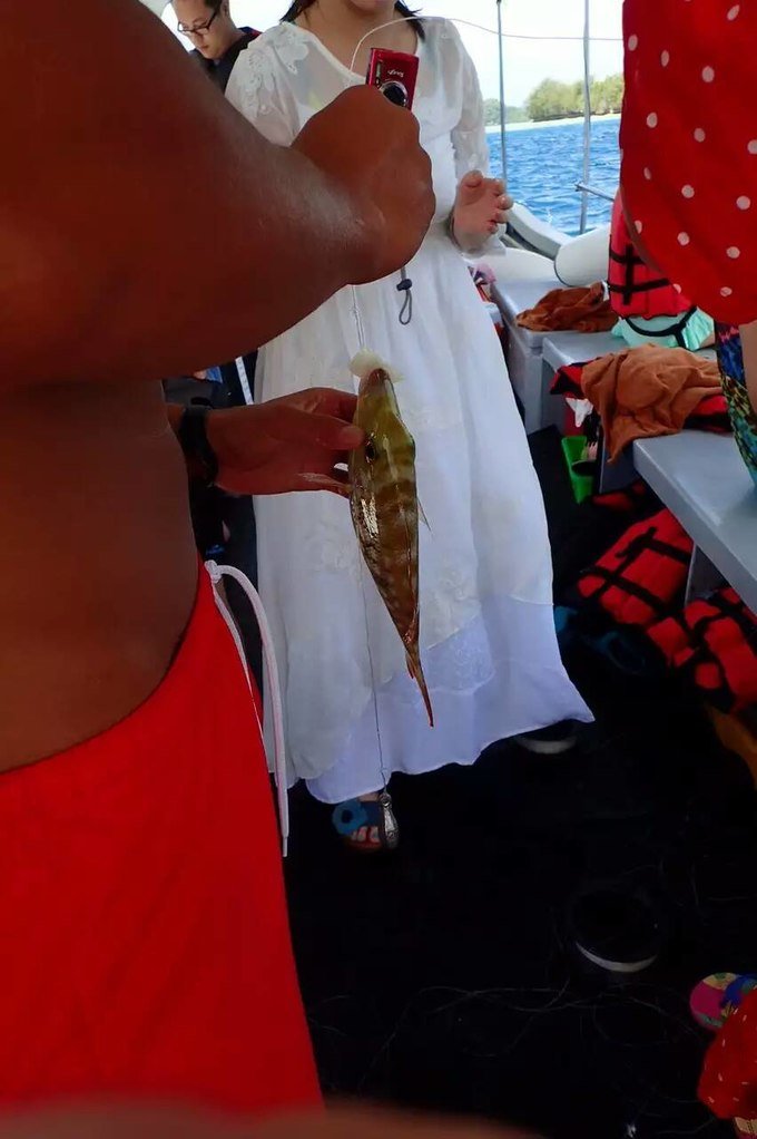 看鲨鱼，玩泥巴，看男人穿婚纱，带你看不一样的帕劳