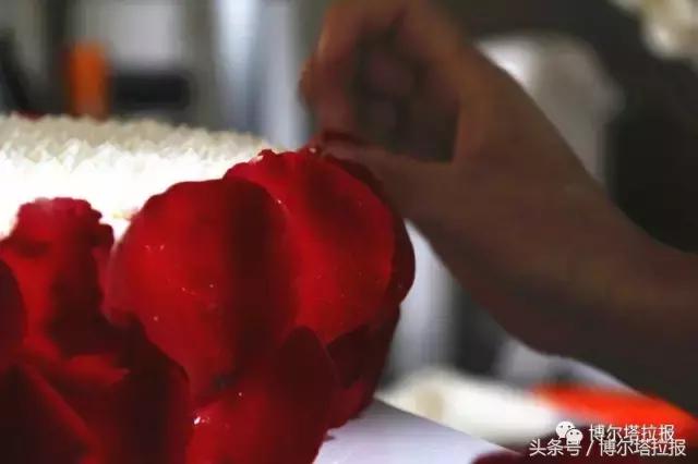 博乐最有名的蛋糕店,博乐哪家生日蛋糕店最好吃