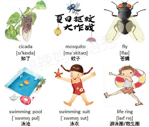 趣味记单词eleven,趣味记单词couple