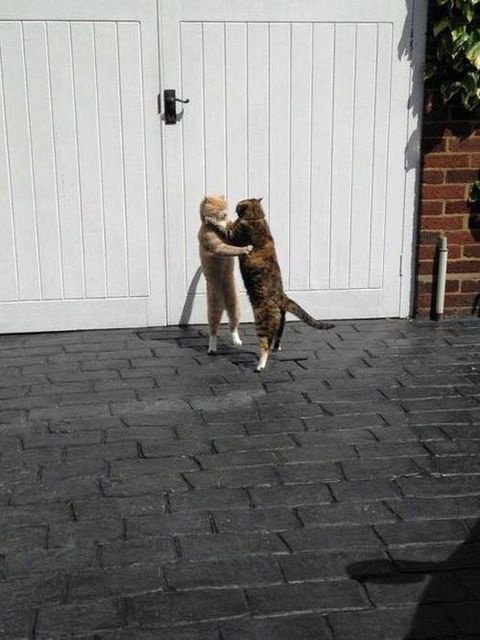 女生说你不娶我怎么嫁,女生说你不娶我你也会娶别人