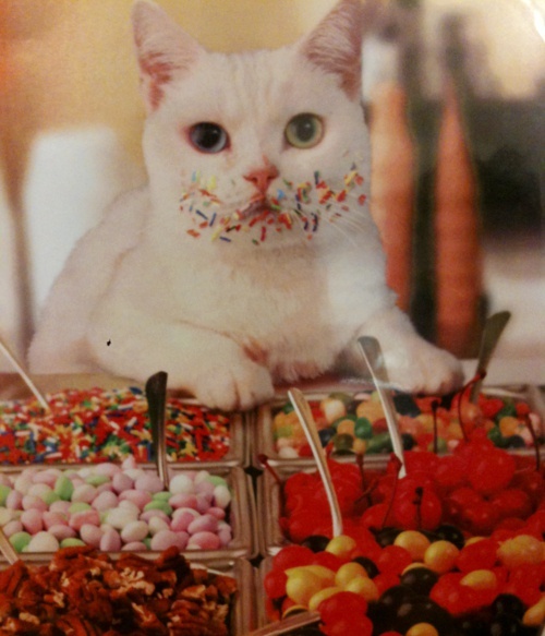 女生说你不娶我怎么嫁,女生说你不娶我你也会娶别人