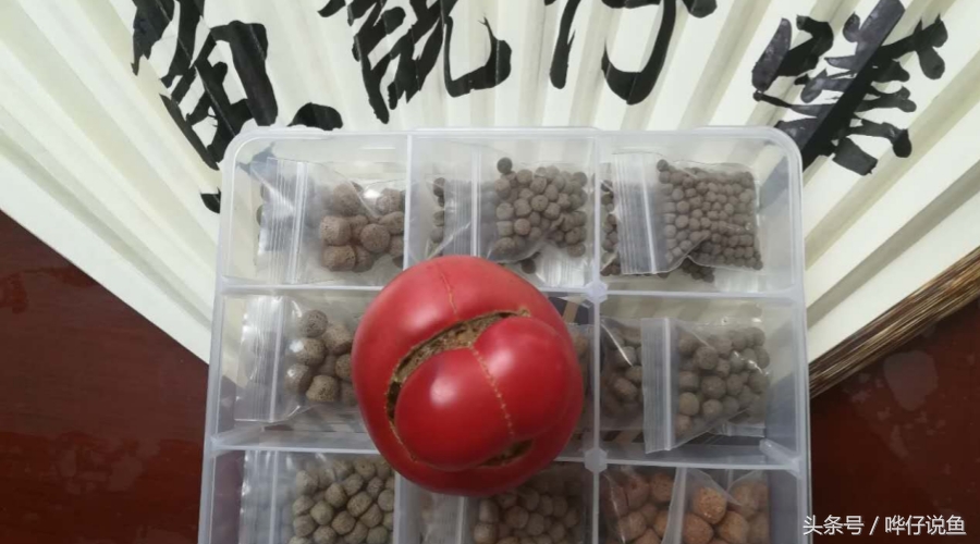 观赏鱼喂什么饲料最好,如何给鱼喂食的正确方法