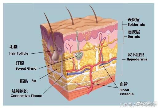 如果买面膜的话我们要注意什么,买面膜应该要知道什么