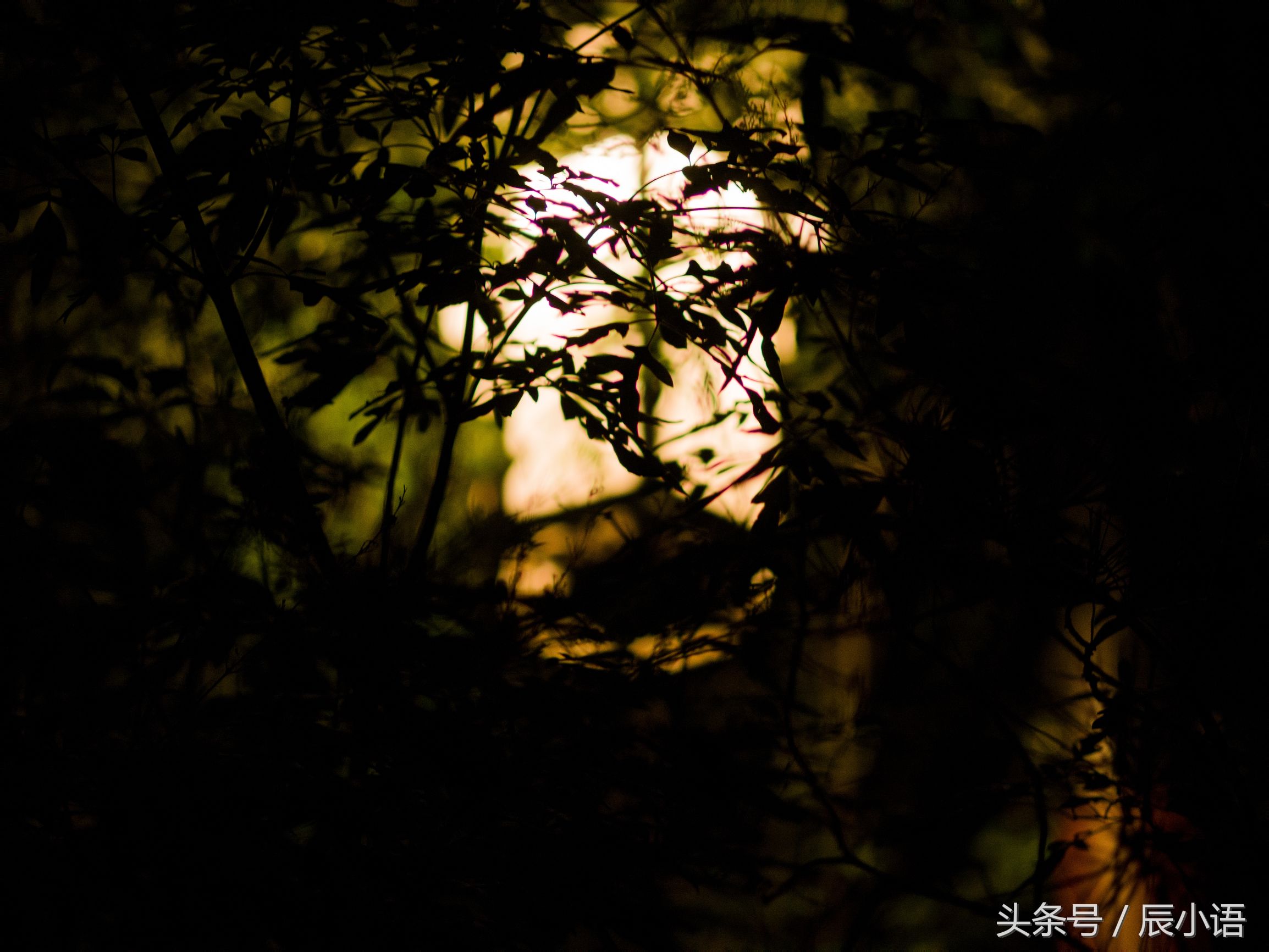 小蚁微单相当于什么相机,小蚁微单深度评测