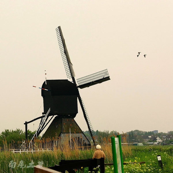 荷兰现在能不能去,什么时候不能去荷兰