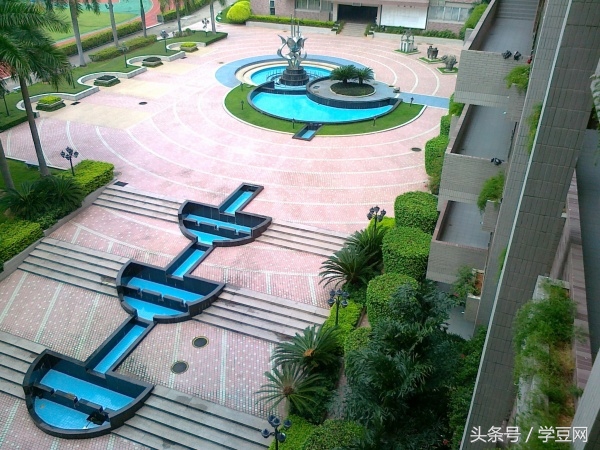 学豆观察︱在深圳高级中学读书是怎样的体验？