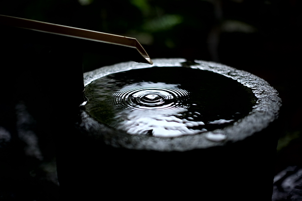 禅茶什么样的,禅茶什么味道最灵性