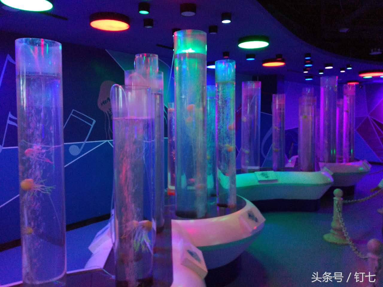 夏天与海绝配,夏天与海洋更配的图片