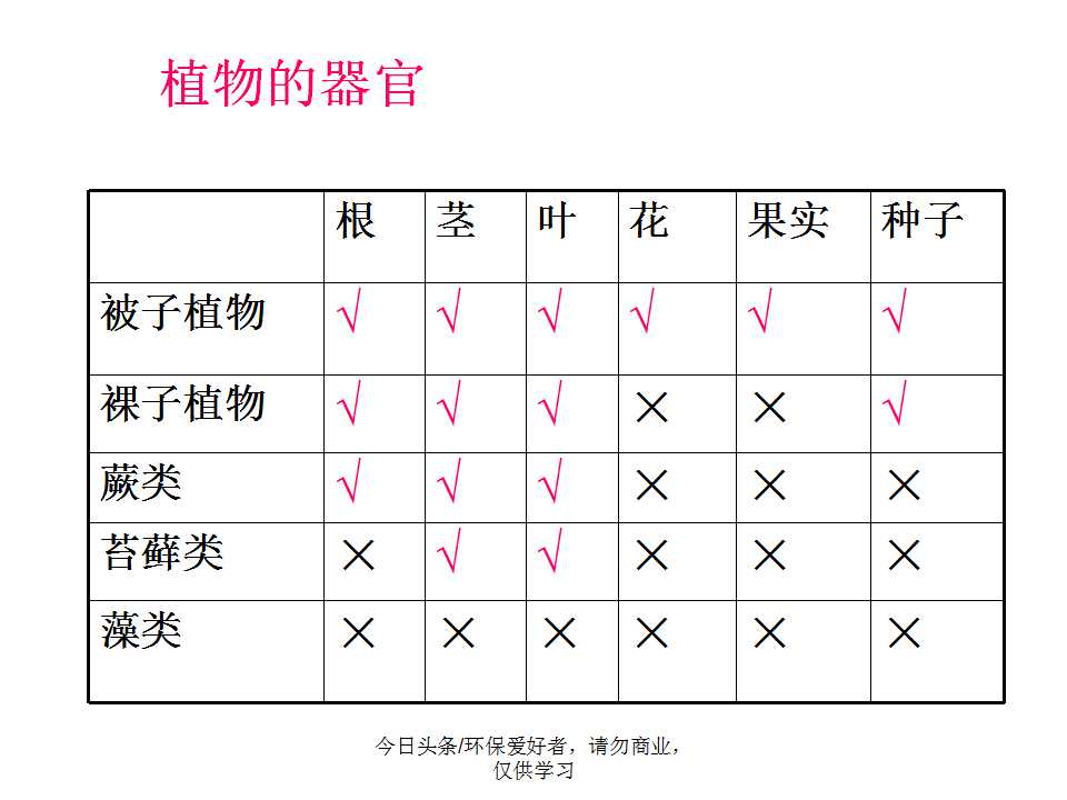 认识植物从身边开始,认识植物的根茎叶各个部分