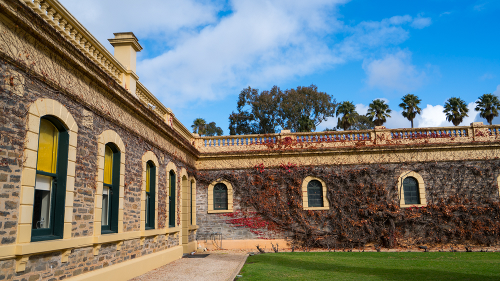 澳洲生蚝哪里最好,全球顶级生蚝多少钱一个