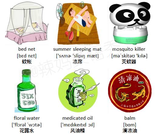 趣味记单词eleven,趣味记单词couple