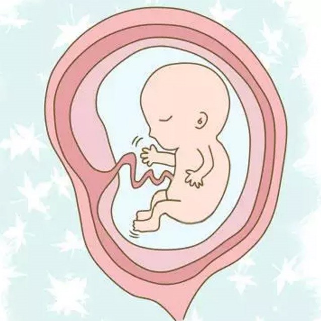 神奇!原来胎动的感觉是这样的,胎动的小秘密你知道吗?