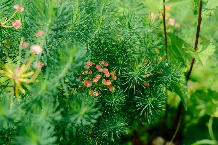 感受战斗民族的霸气,感受战斗民族的热情