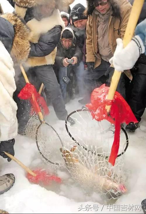 到吉林玩买啥、吃啥？再也不用刘烨代购吉林土特产了！