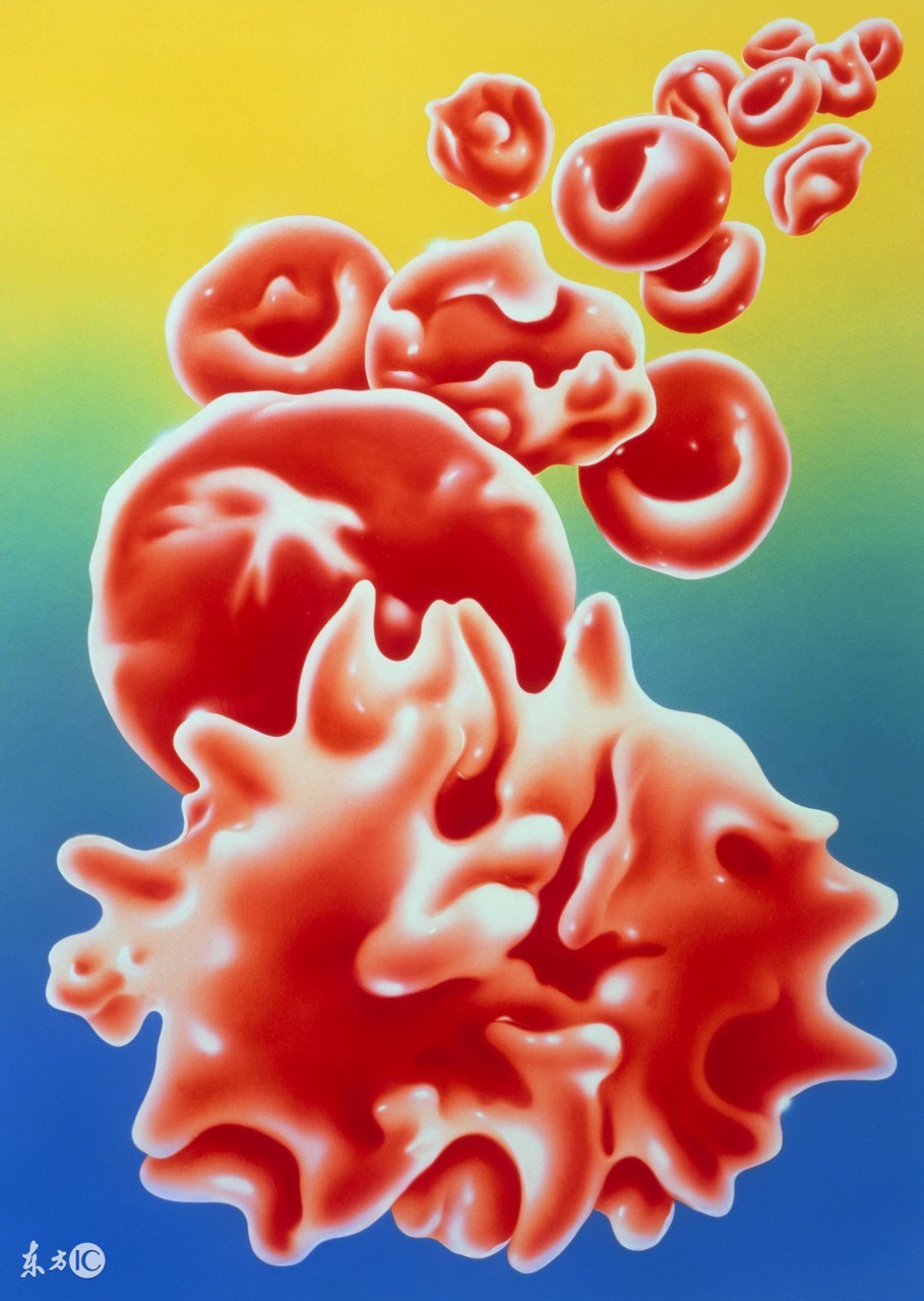 熊猫血妈妈为什么不能生小宝宝,妈妈是熊猫血宝宝会怎么样