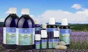 绮炬补鍜岀函闇茬殑钂搁杩囩▼,鐜懓鑺辫捀棣忕函闇插拰绮炬补