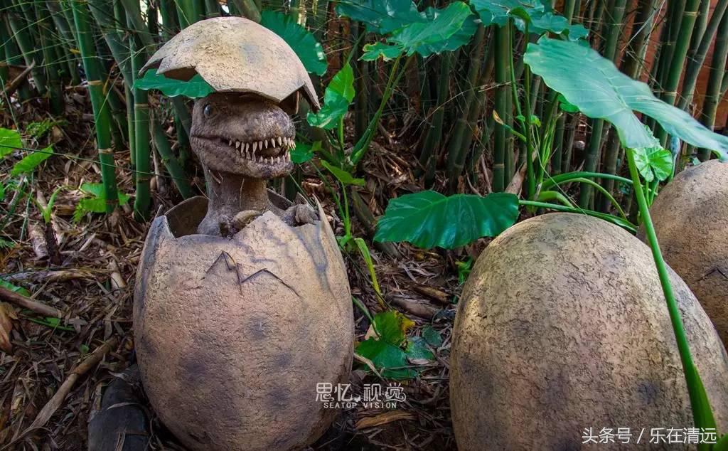 顶着烈日来一次漂流,顶着烈日前行