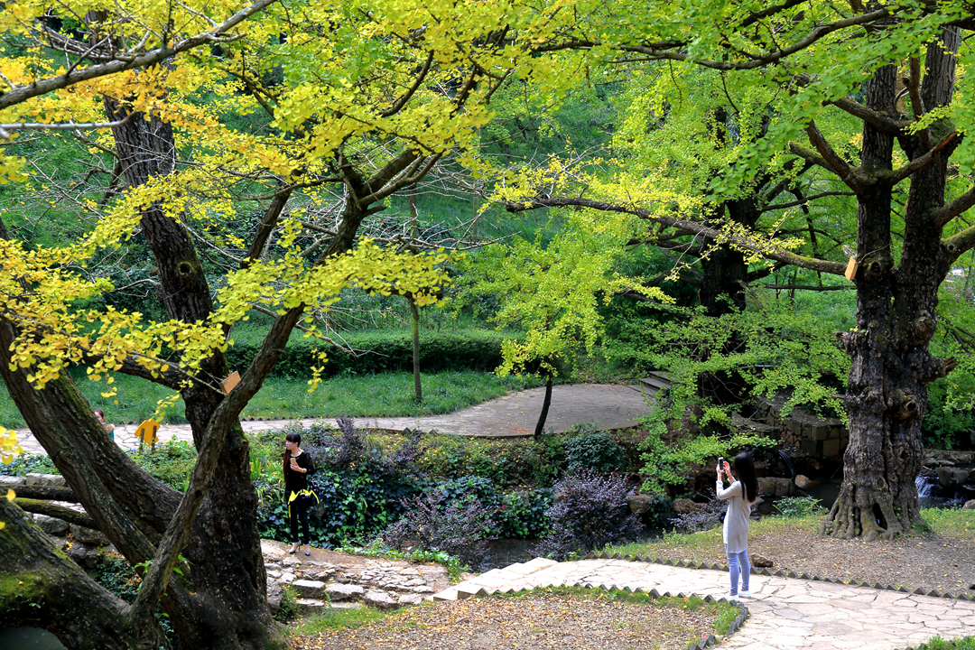 贵州最发达的十个市,贵州富得流油的五个县