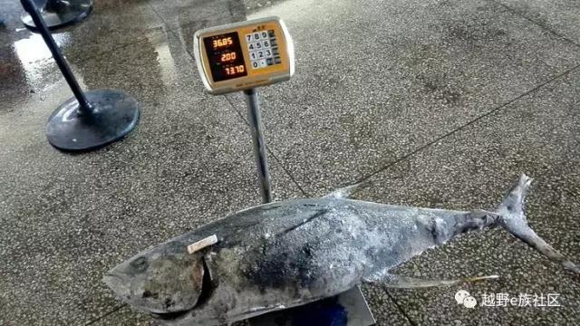 美食加美景,粤、桂大队以踢球为名的饕餮北海行