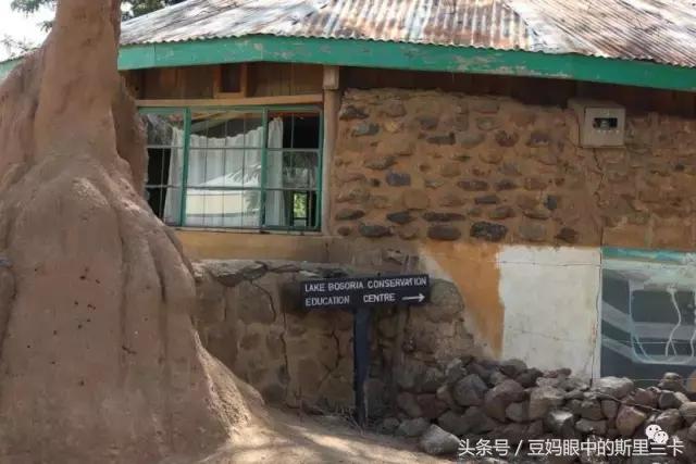 风动？树动？心动！致你，Kenya